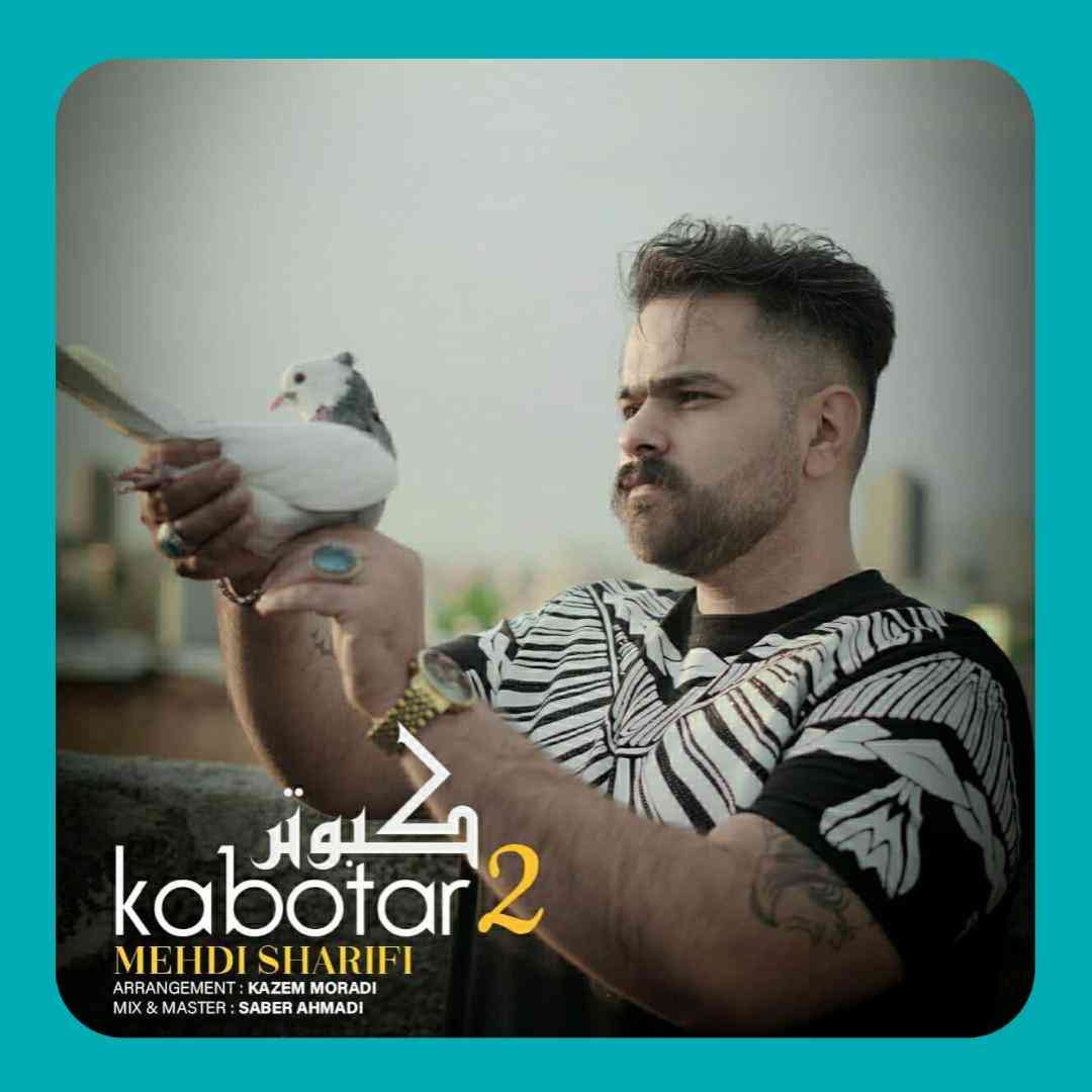 مهدی شریفی کبوتر 2