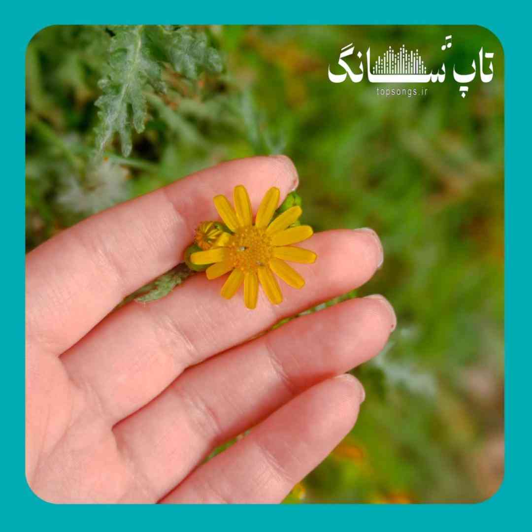 دشی تو شدی ماه شب من ولی پشت ابر