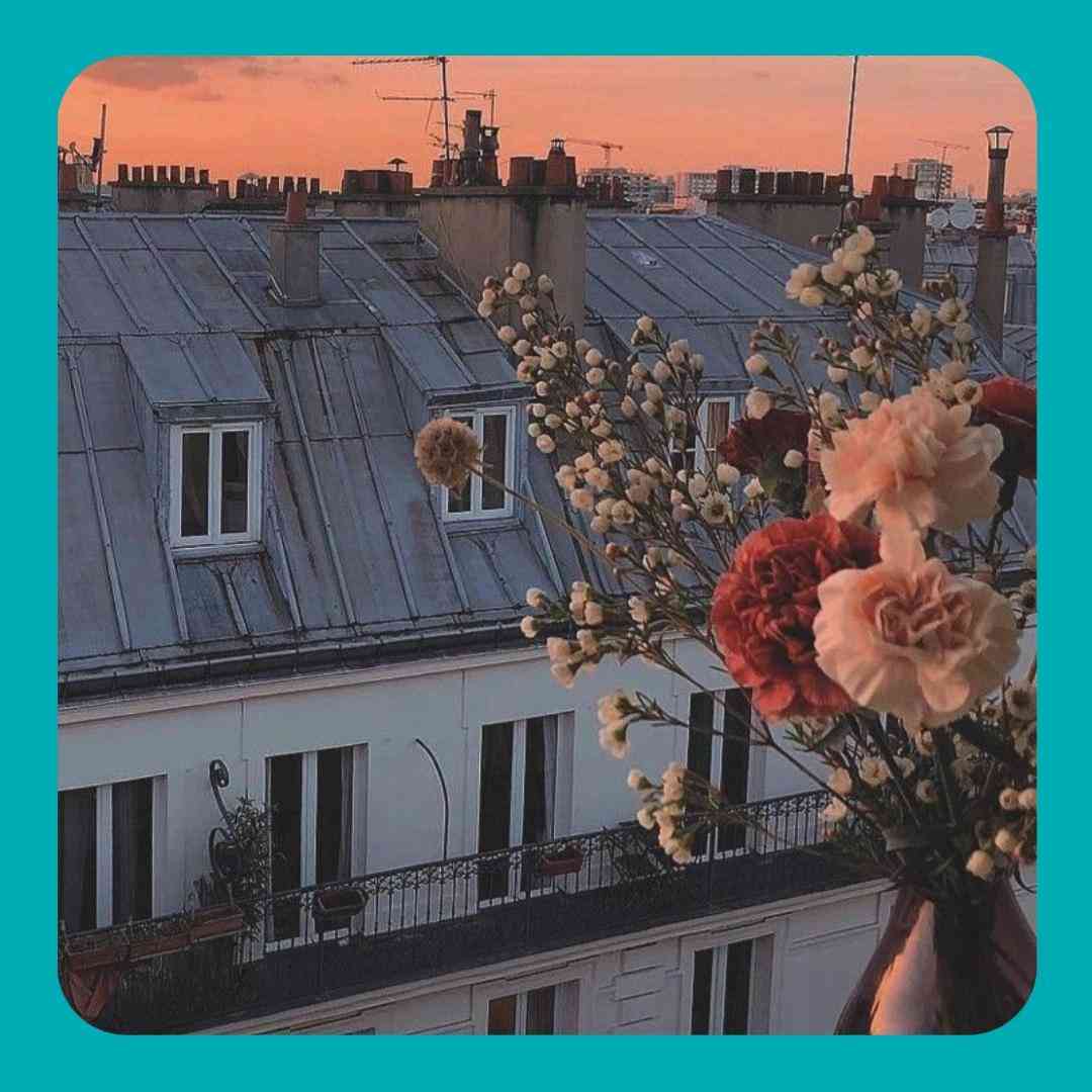  دوستت که آوردی چقدر لوسه
