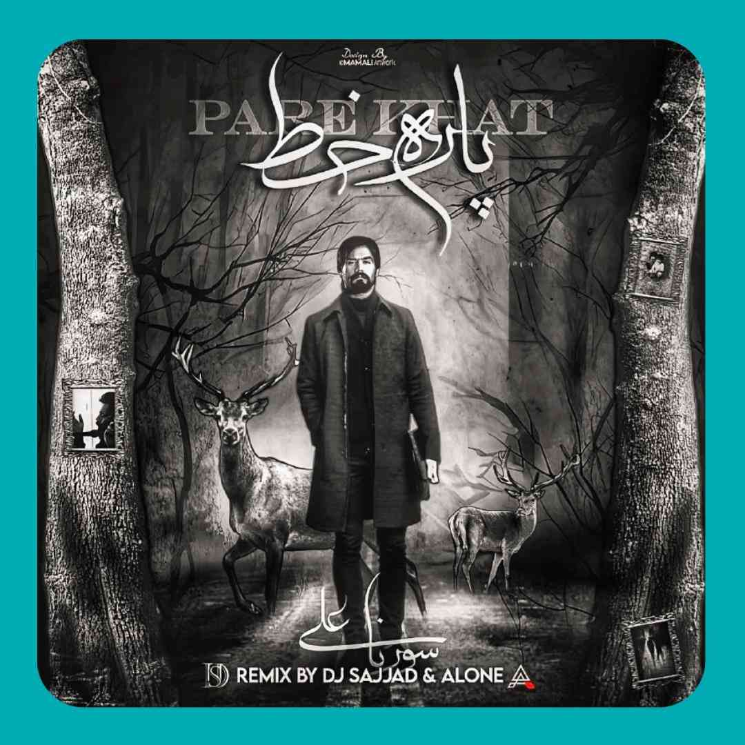 دیجی سجاد و الون پاره خط