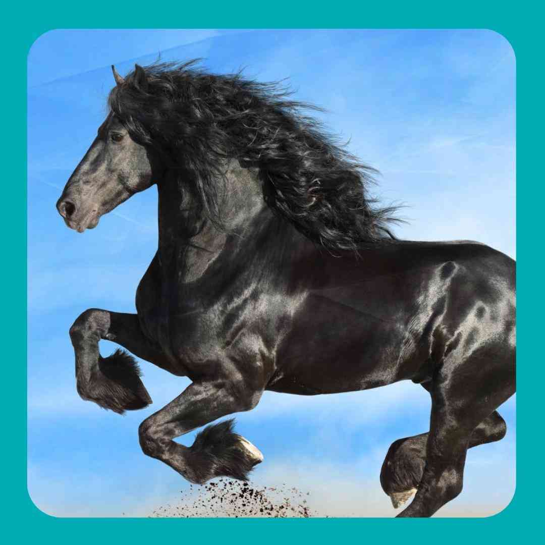 بتاز گله ی اکسیژن و راه مال رویی چیزی - هوش مصنوعی