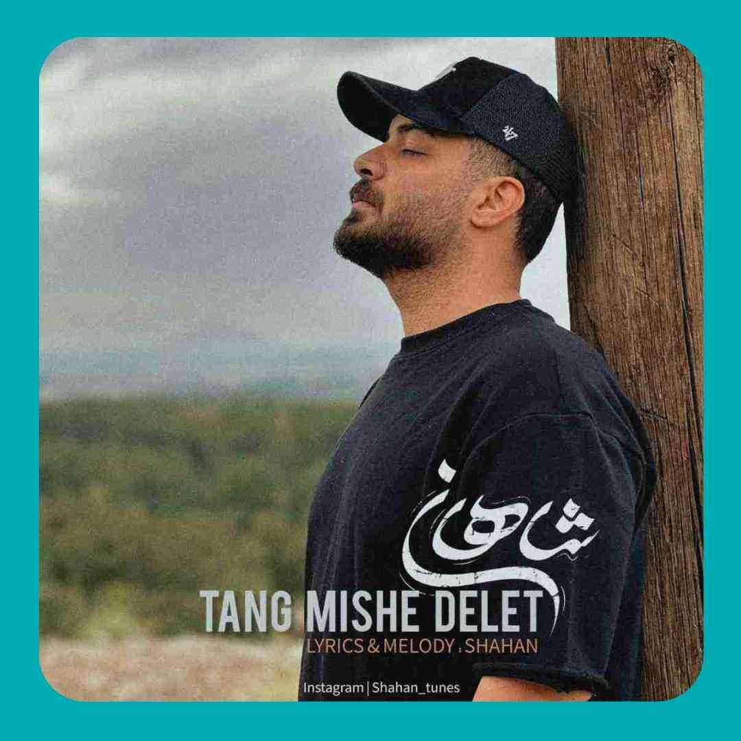 شاهان تنگ میشه دلت