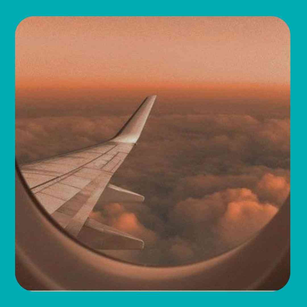 حبیبی کام تو جنوب