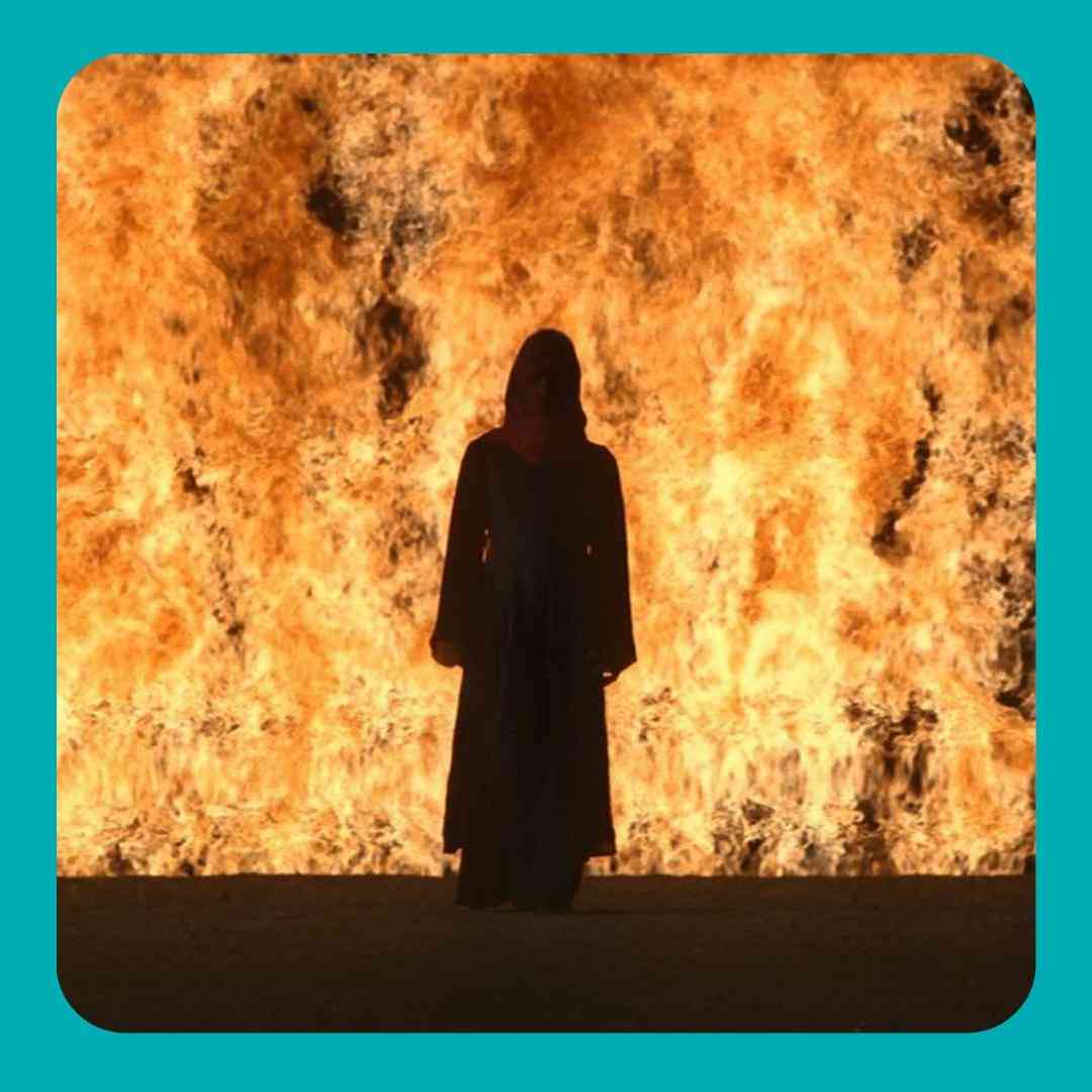  اصلا آشوب به پا کن بیبی این سیگار بهمن مارو ندیدی