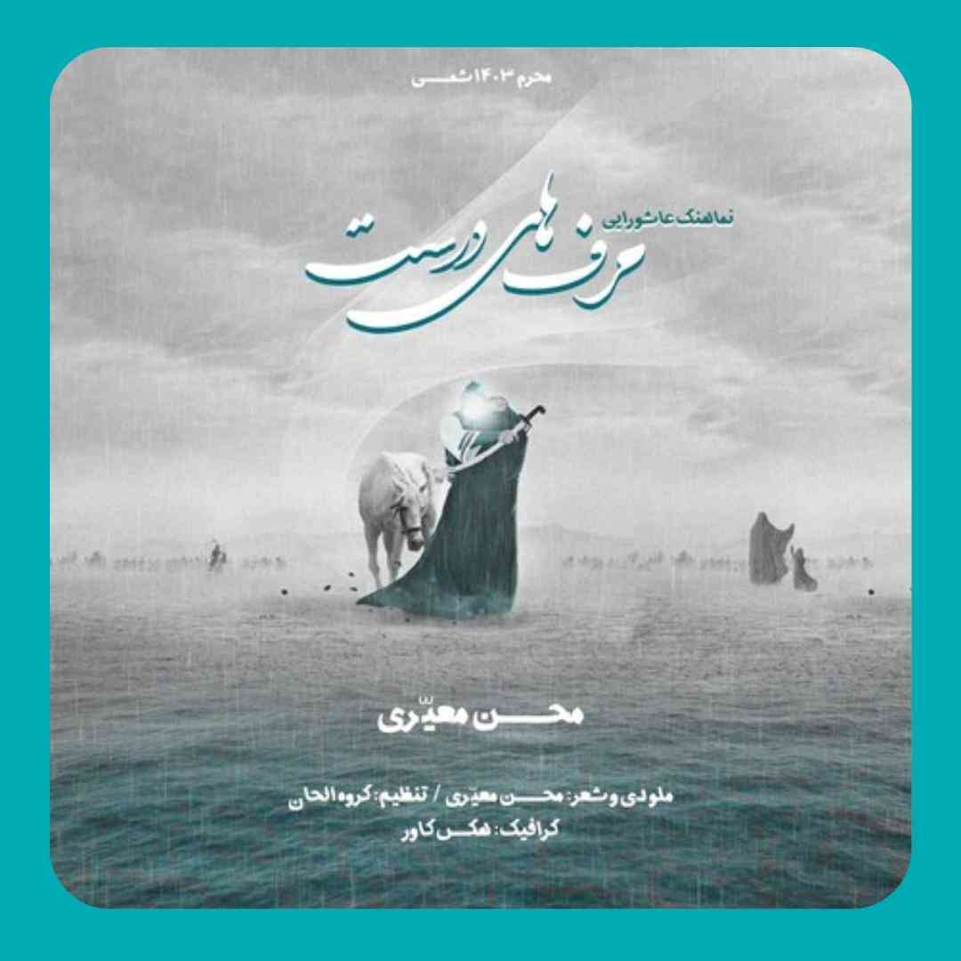 محسن معیری حرفهای درست