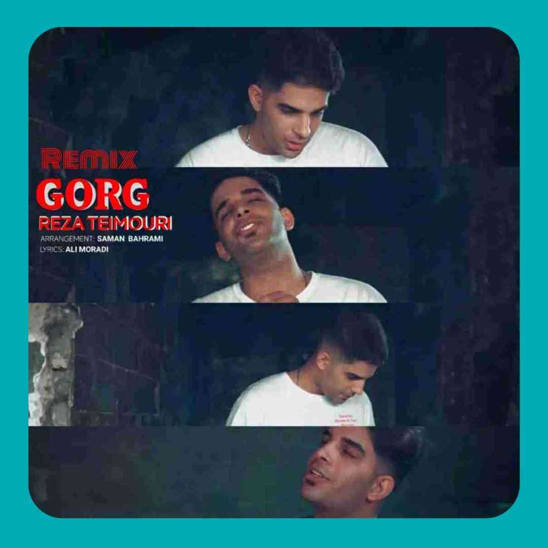 رضا تیموری گرگ