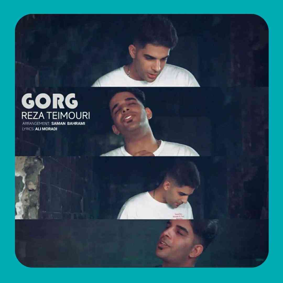 رضا تیموری گرگ