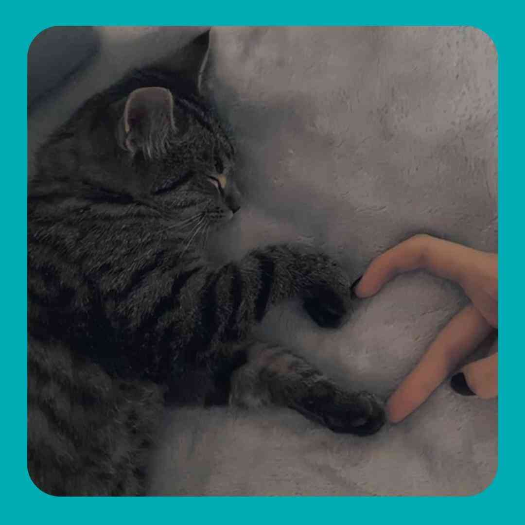 دلی که رو هوا زدی ( هوش مصنوعی )