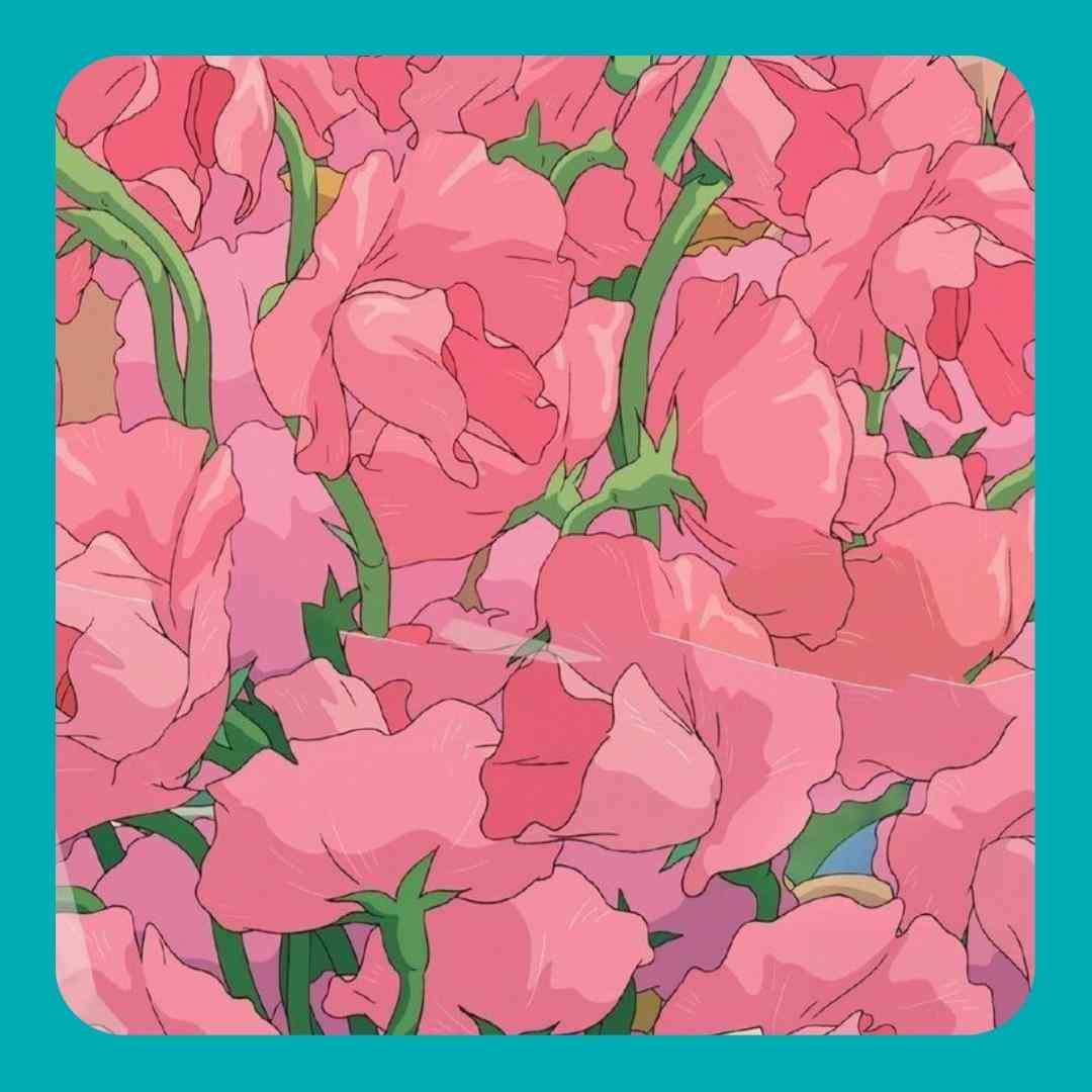 فاطمه رحمانی گل من