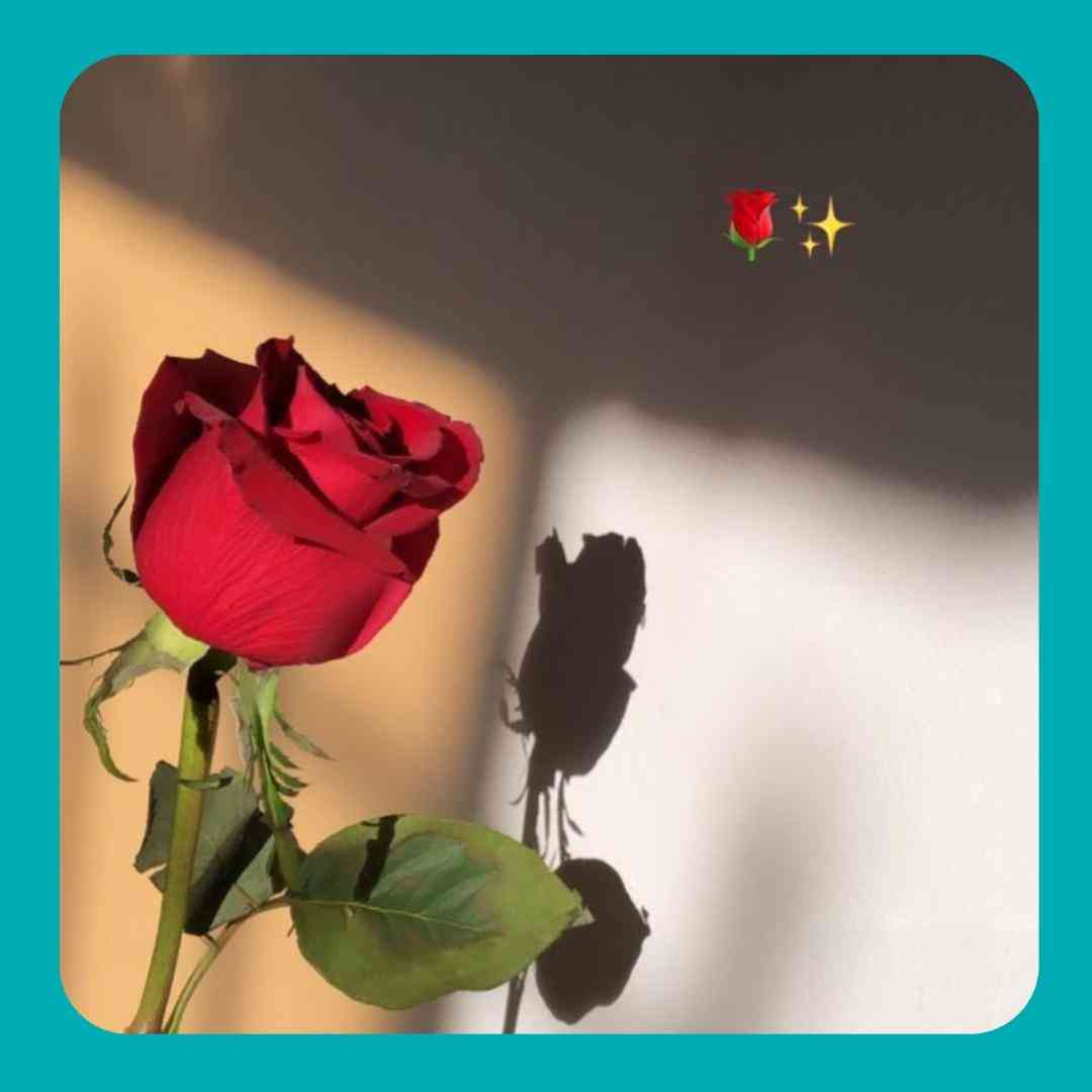 سام علیکم مامانم اینا سام علیکم اینستایی