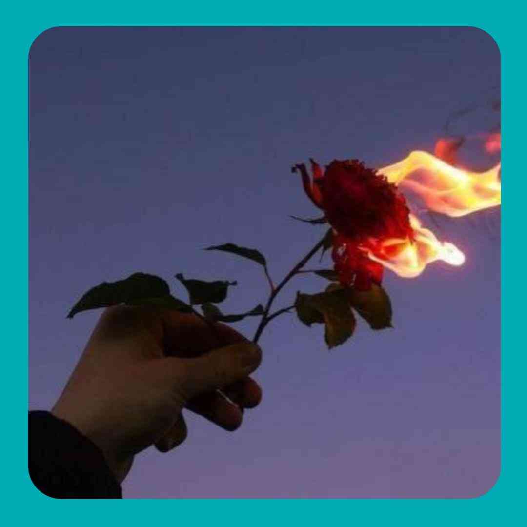 تو دستم یه رولی گلده هودادکا اورجین کپی افته