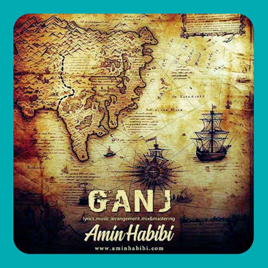 امین حبیبی گنج