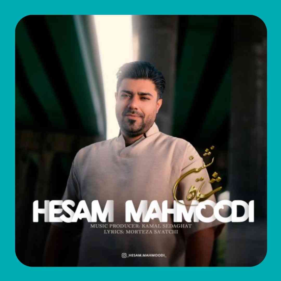 حسام محمودی شاه نشین