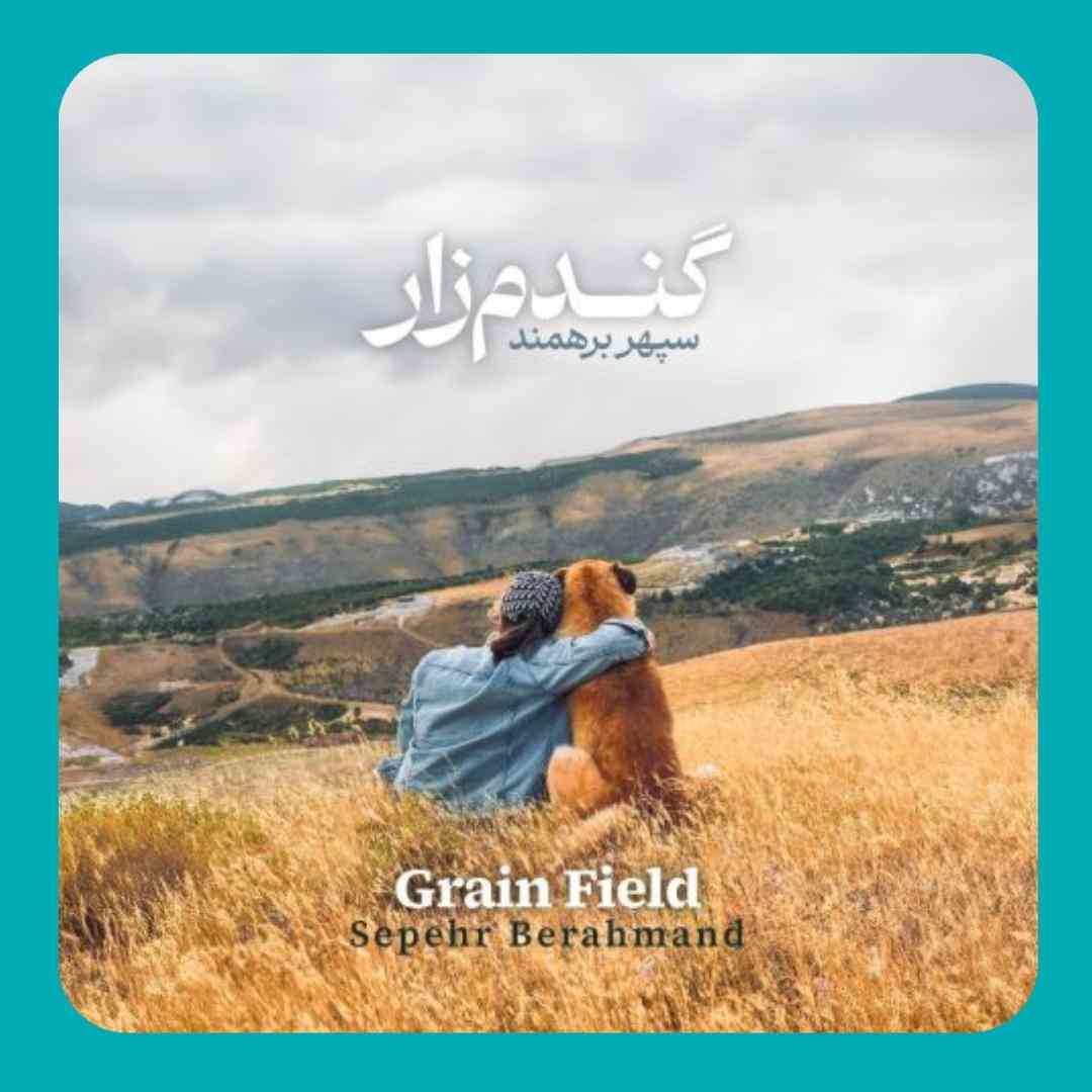 سپهر برهمند گندم زار