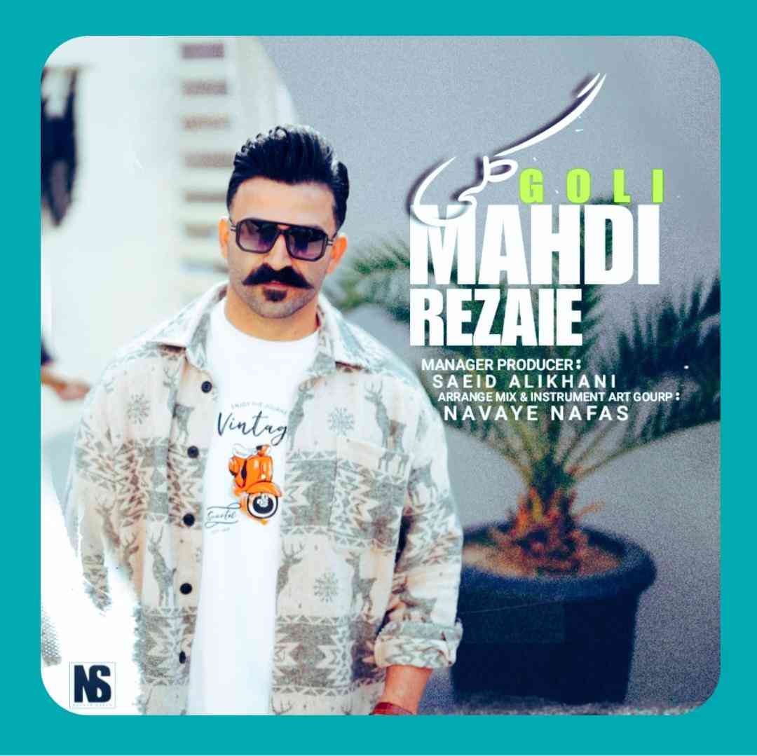 مهدی رضایی گلی
