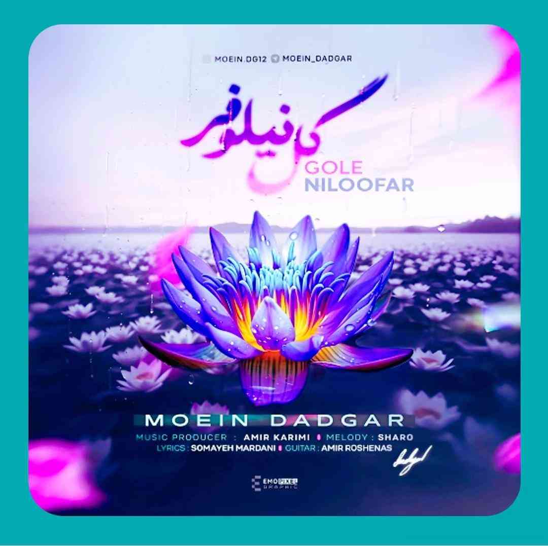 معین دادگر گل نیلوفر