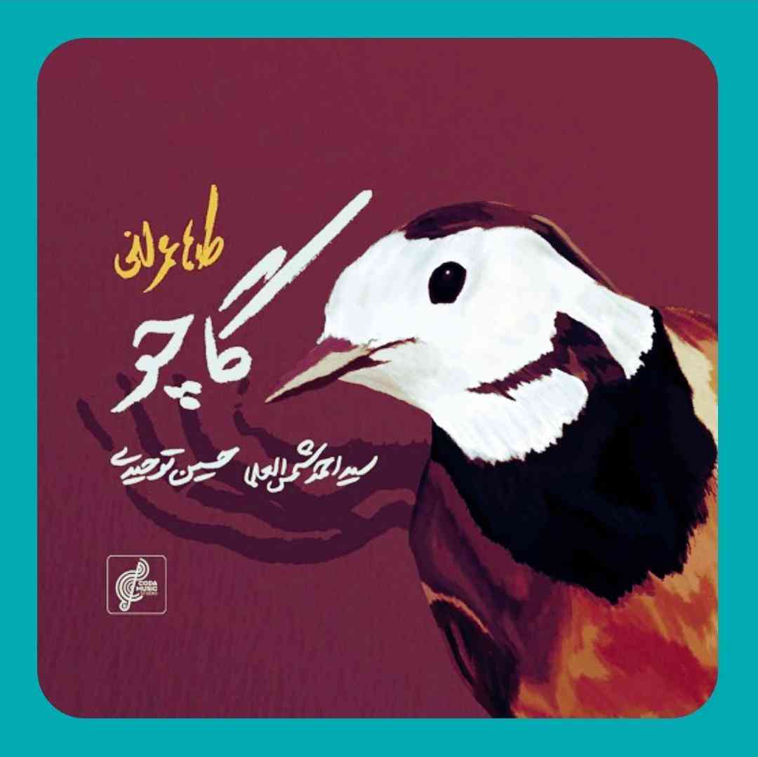 طاها عمرانی گاچو