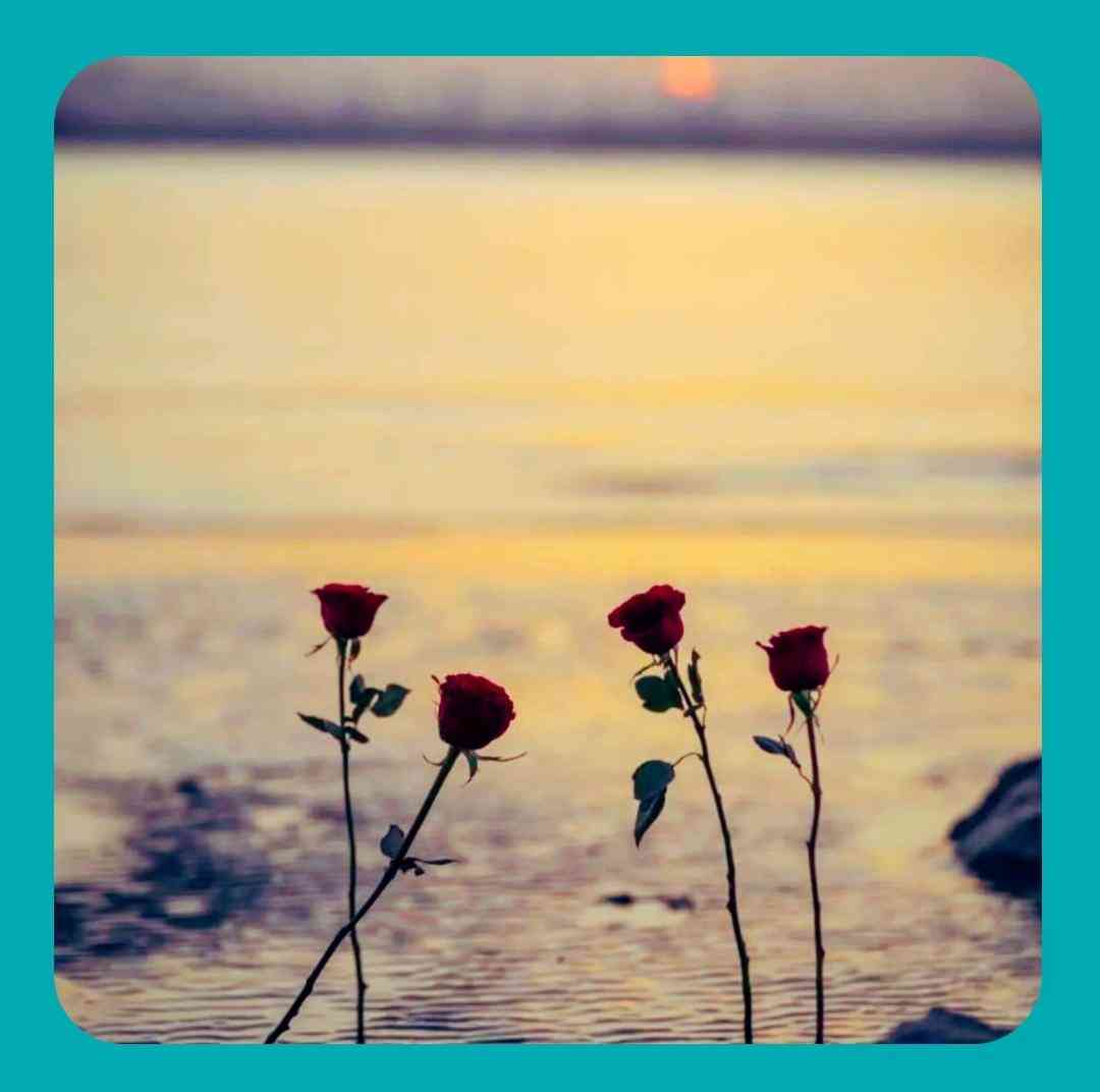 بوری بوری گلارم چراخ شوه تارم