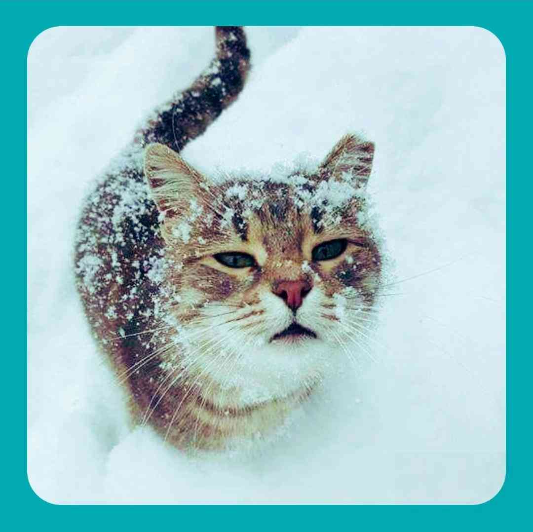 بدجور بودن همه فیکو هرکی دیدم بعدت همش فیکه