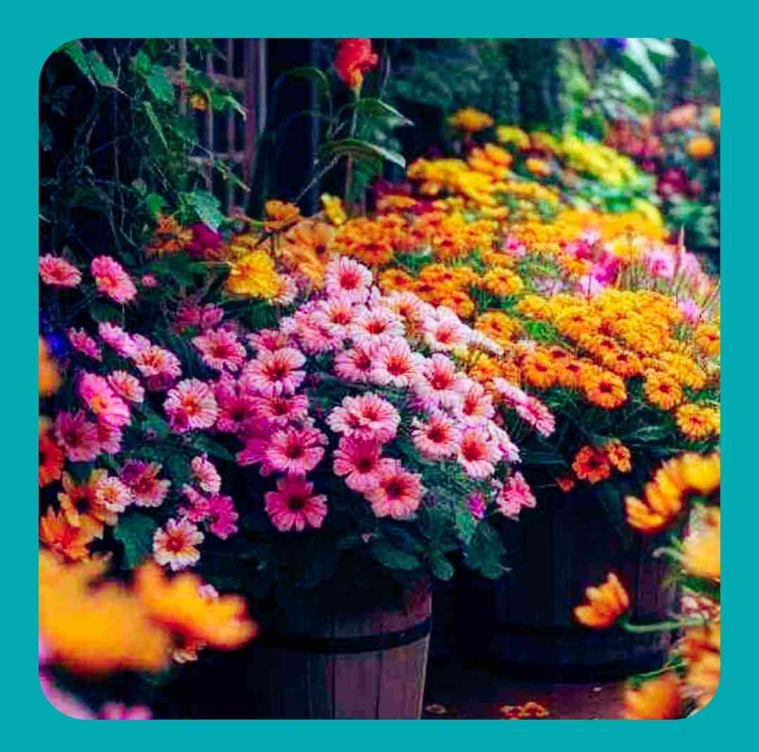 کجایی تو که چشم من نمیخواد دیگه تنهاشه