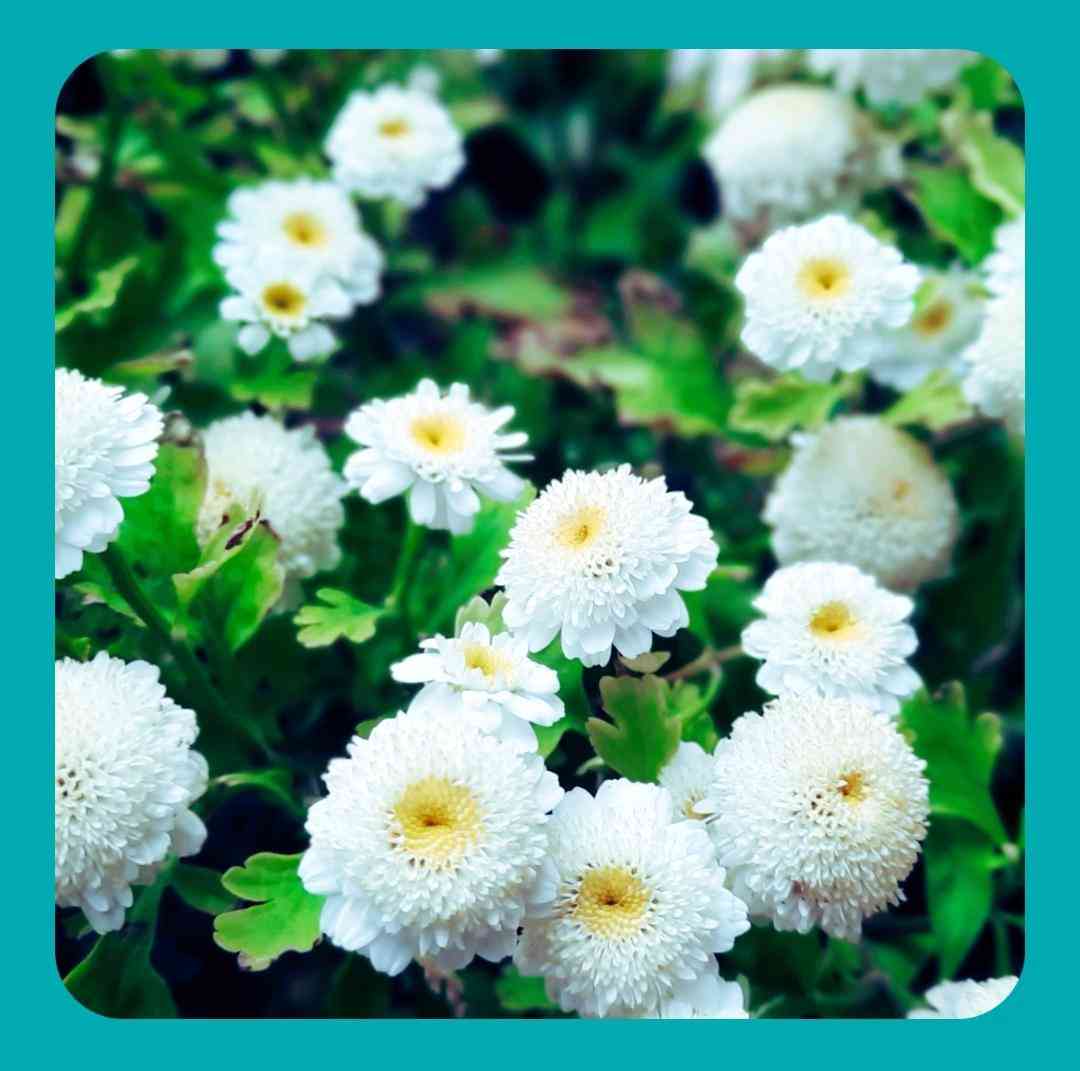 اونی که تو دلبری خوبه کارش وارده
