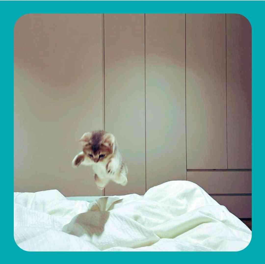 فاطمه عطایی جان لیلی