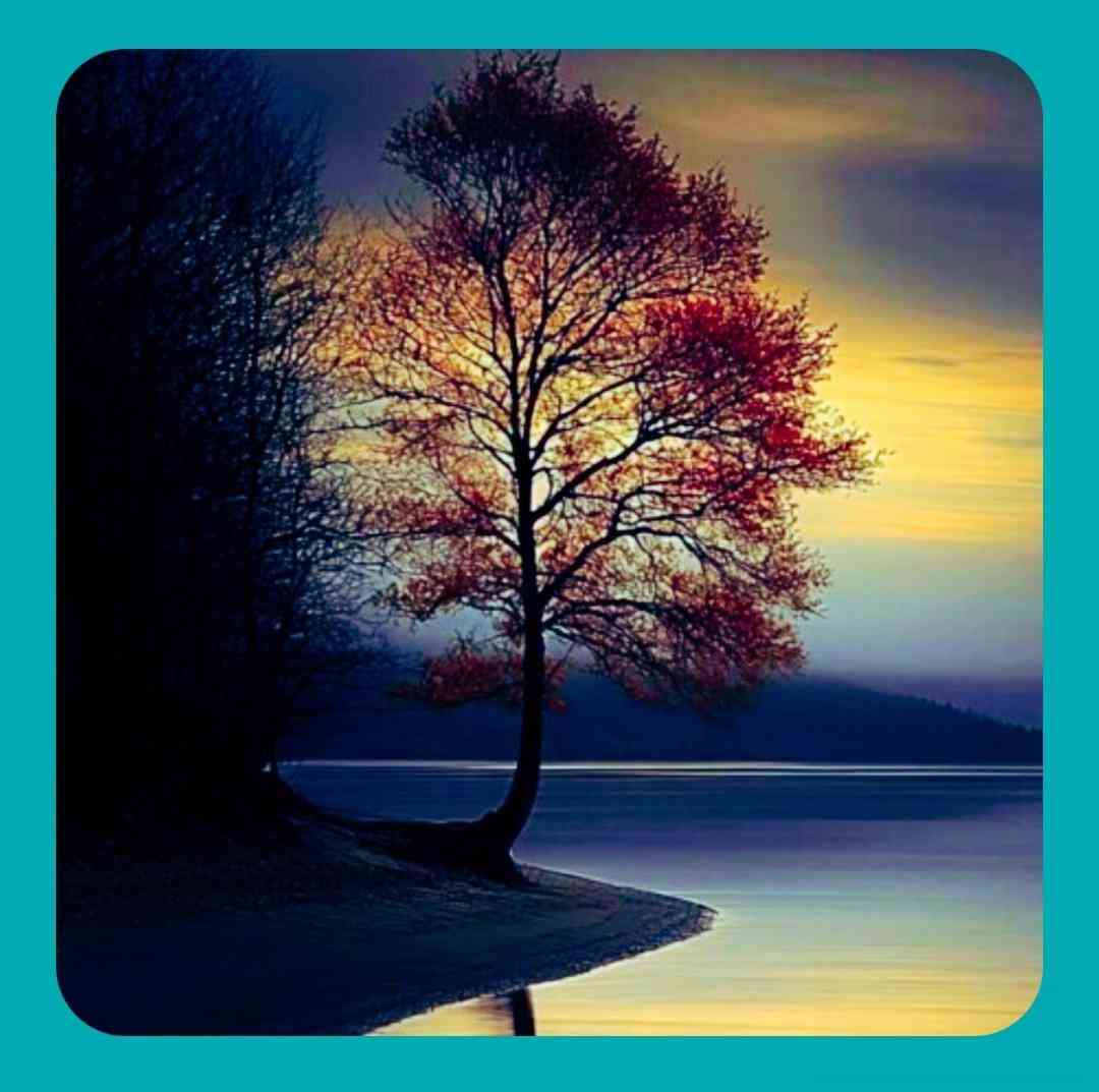  با گریه خوابیدم شبی که راحت واست صبح شد