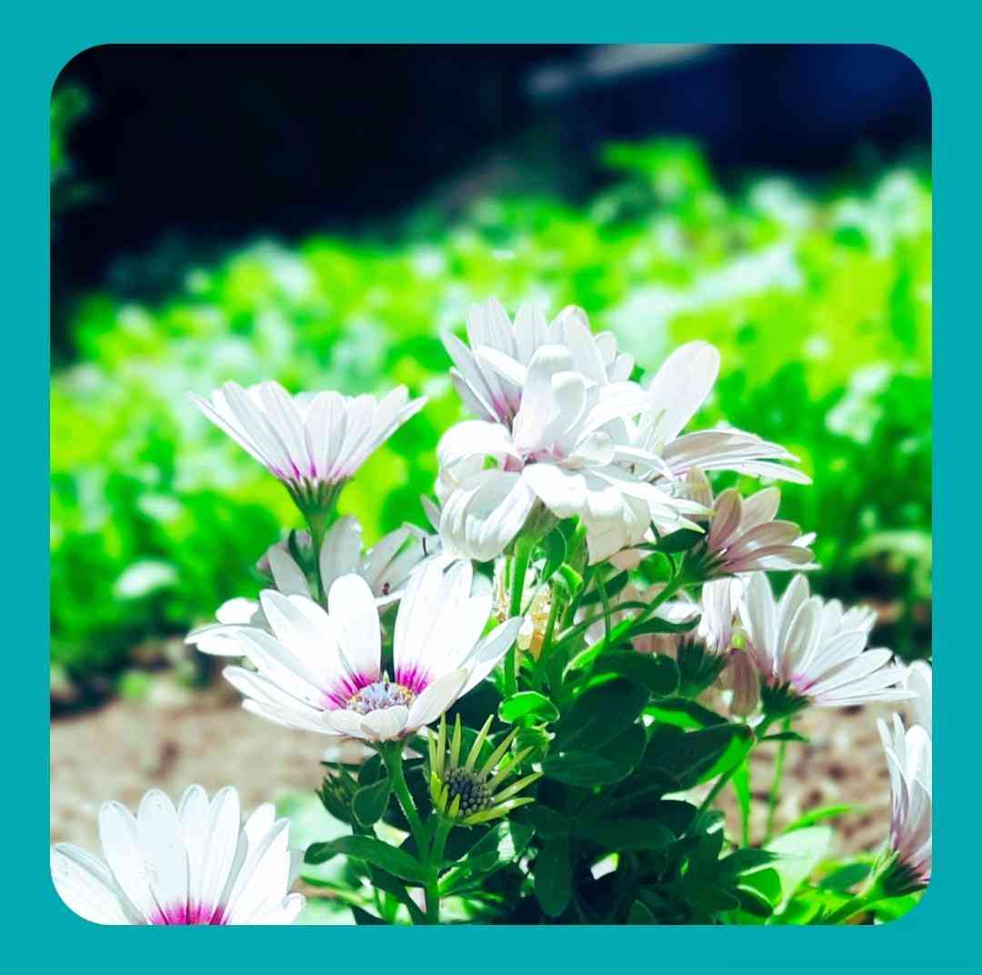 نگم از بغض شبام از سیگار رو لبام با صدای پسربچه