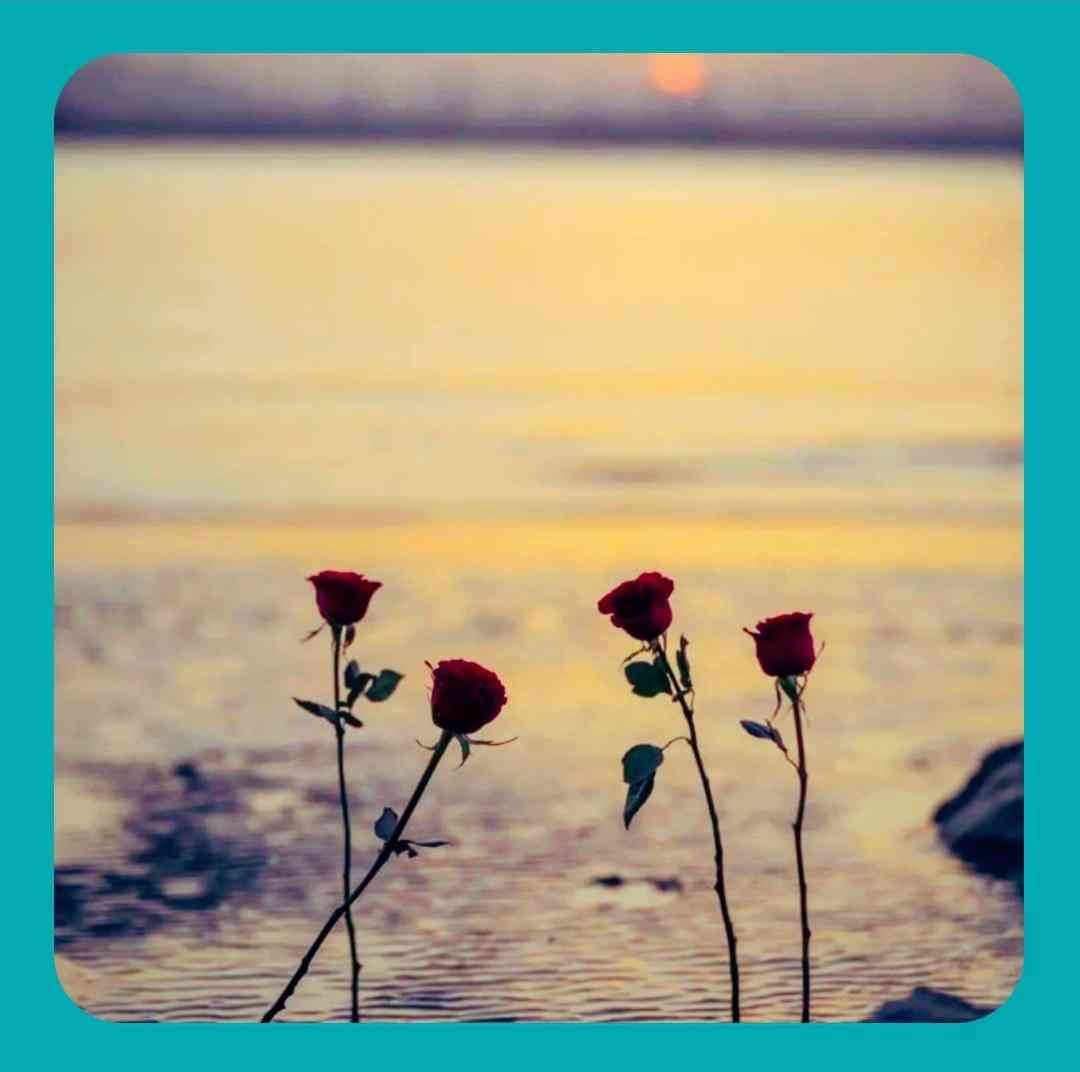 بشکن همه عکسا رو شقایقا رو پرپر کن