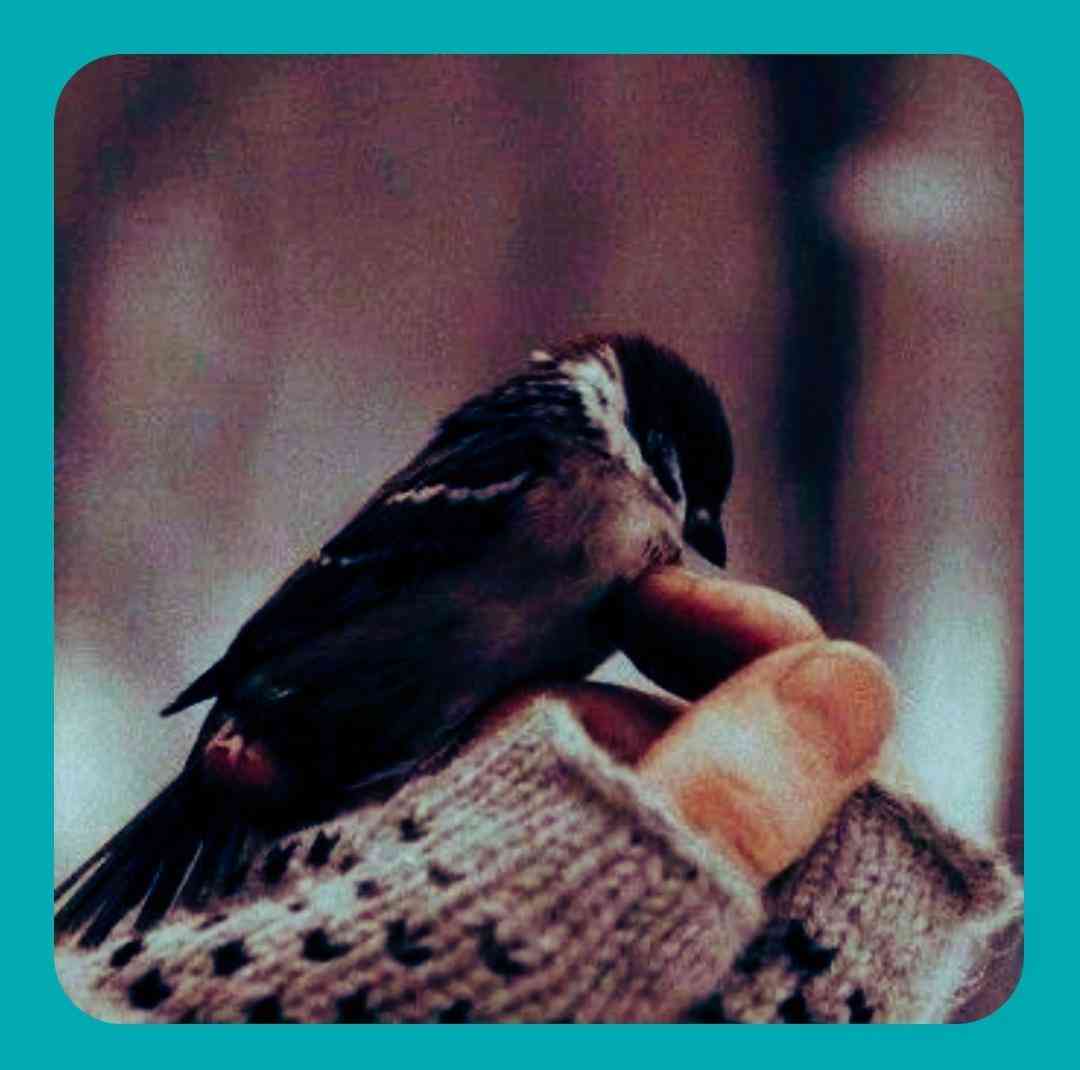 ی زمانی بود دیگه حتی نیست بهم نگو کشتم کی