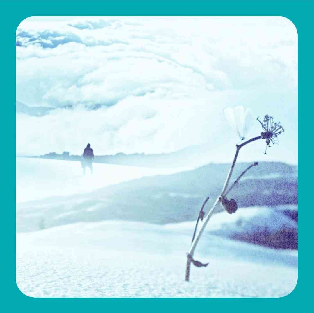 طهرون واسه تویی نی که تو شهر غریبی
