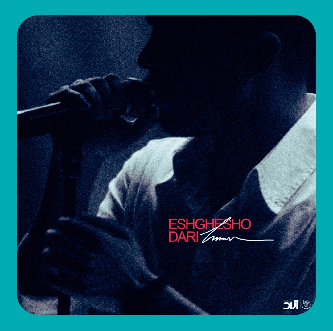 دانلود آهنگ عشقشو داری از حامیم