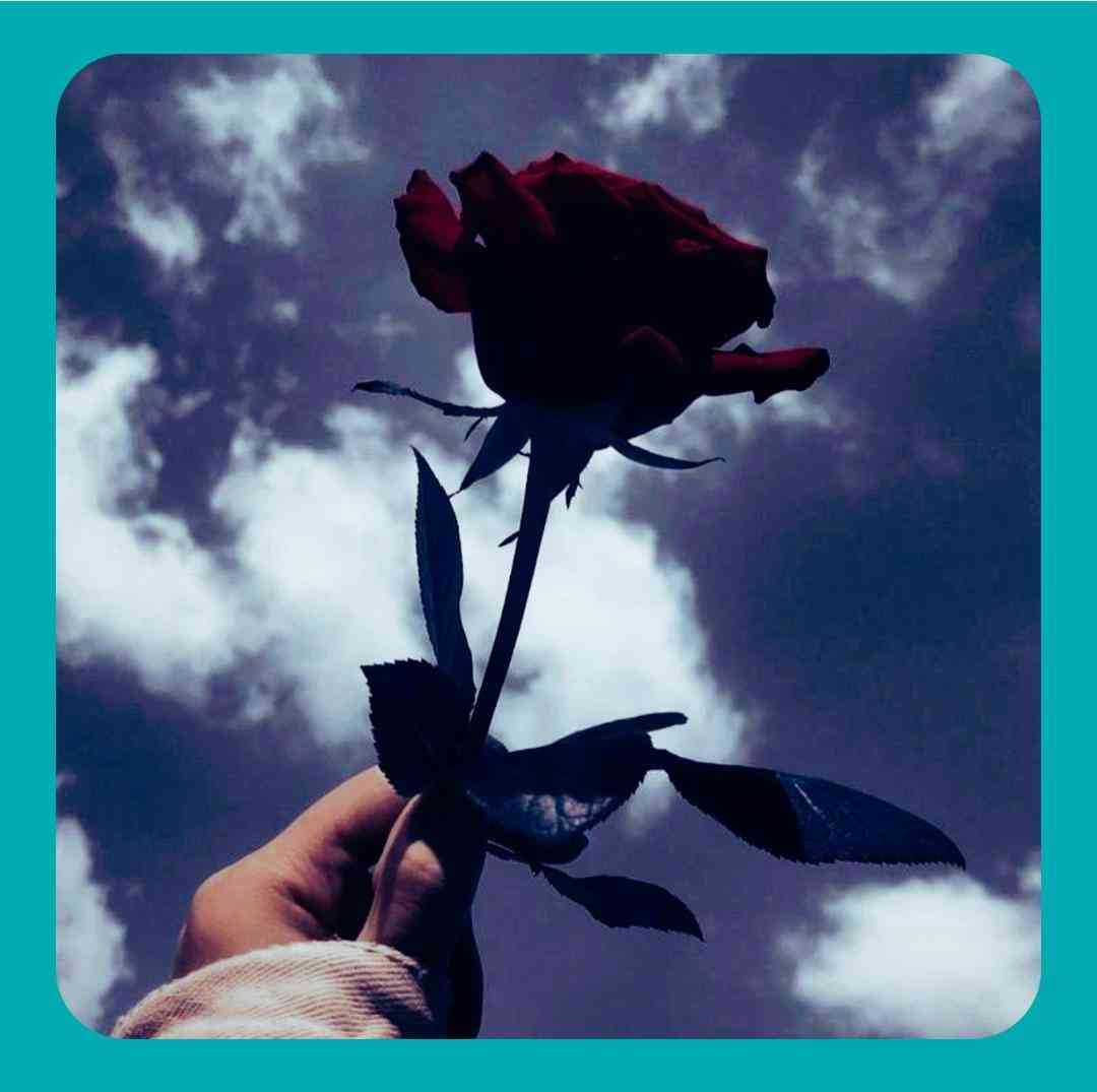  آقا مهدی مسته عروسکم دلش میاد شب که بشه