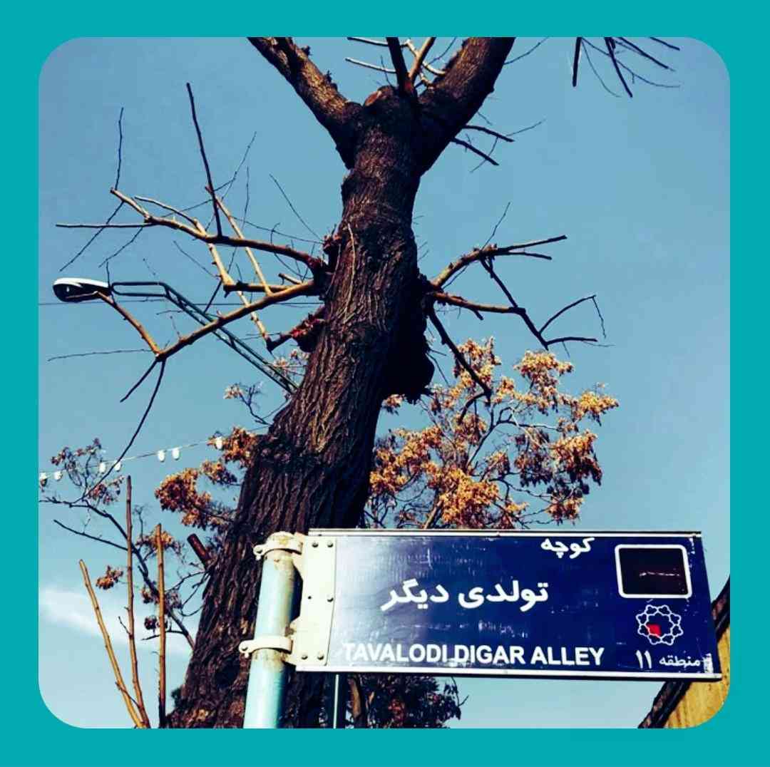 سیس میگیری انگار سرت شلوغه بیا برو