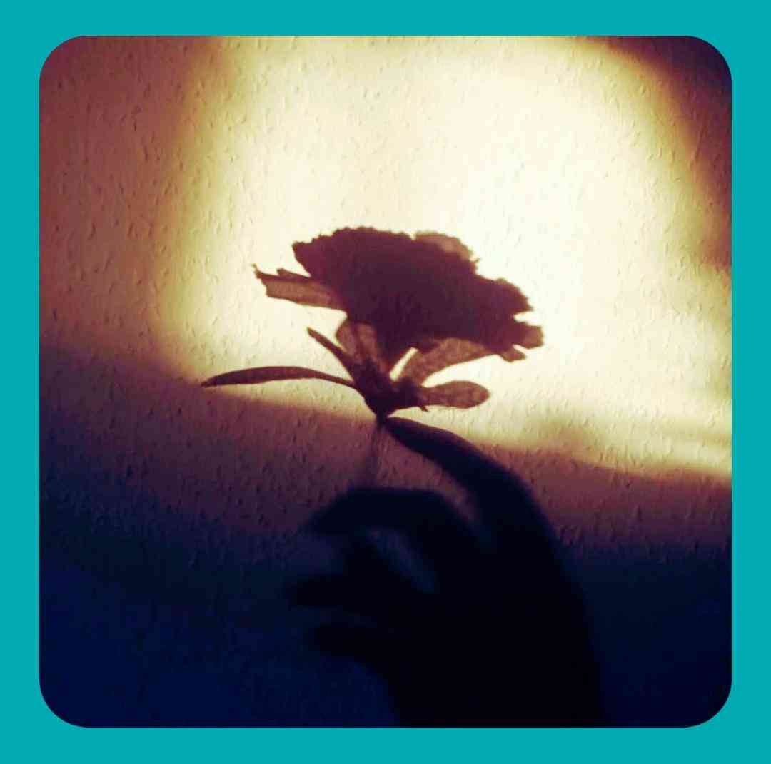 پاک کردی تو گوشی اسمم عوضش
