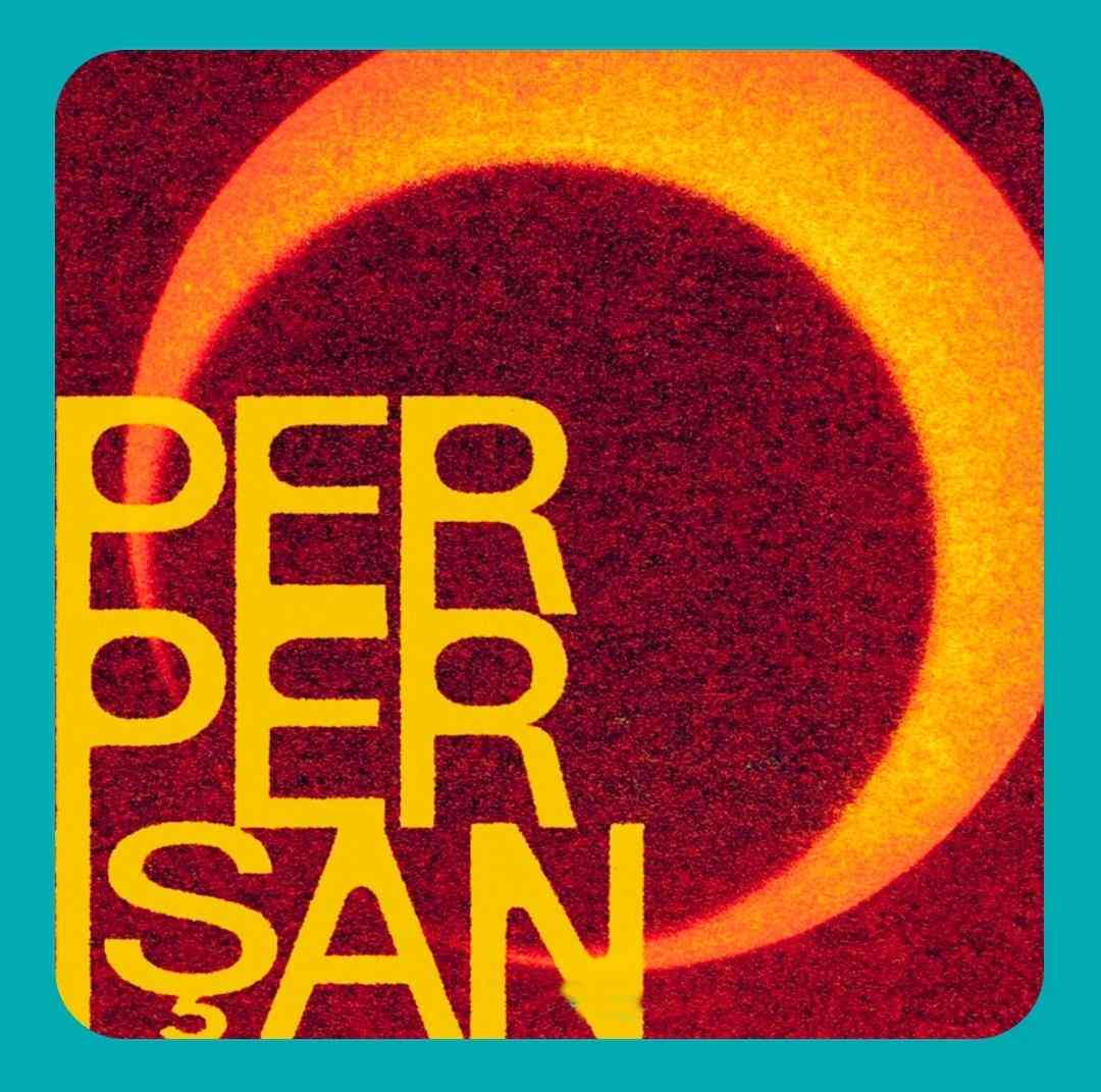 مابل ماتیز و کو شین مون پرپریشان