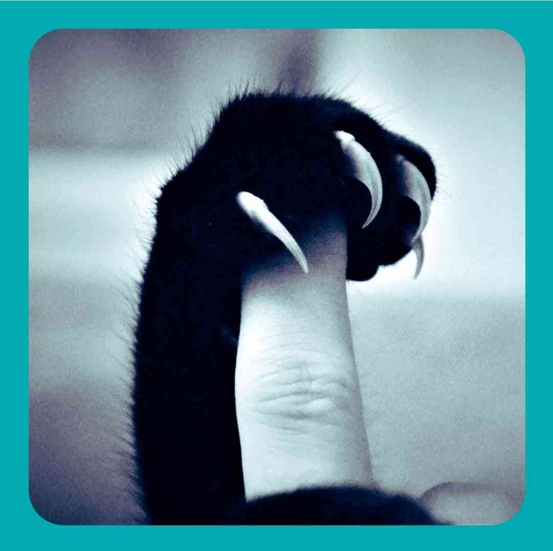 چرا یبار نپرسیدی ازم که دردم چیه با صدای پسر