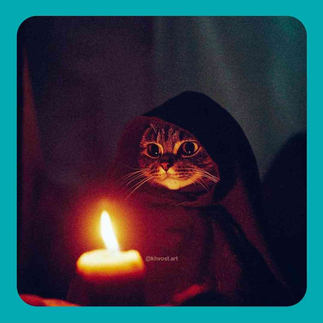  پله لردن اننده گوزوم قالدی ممنده