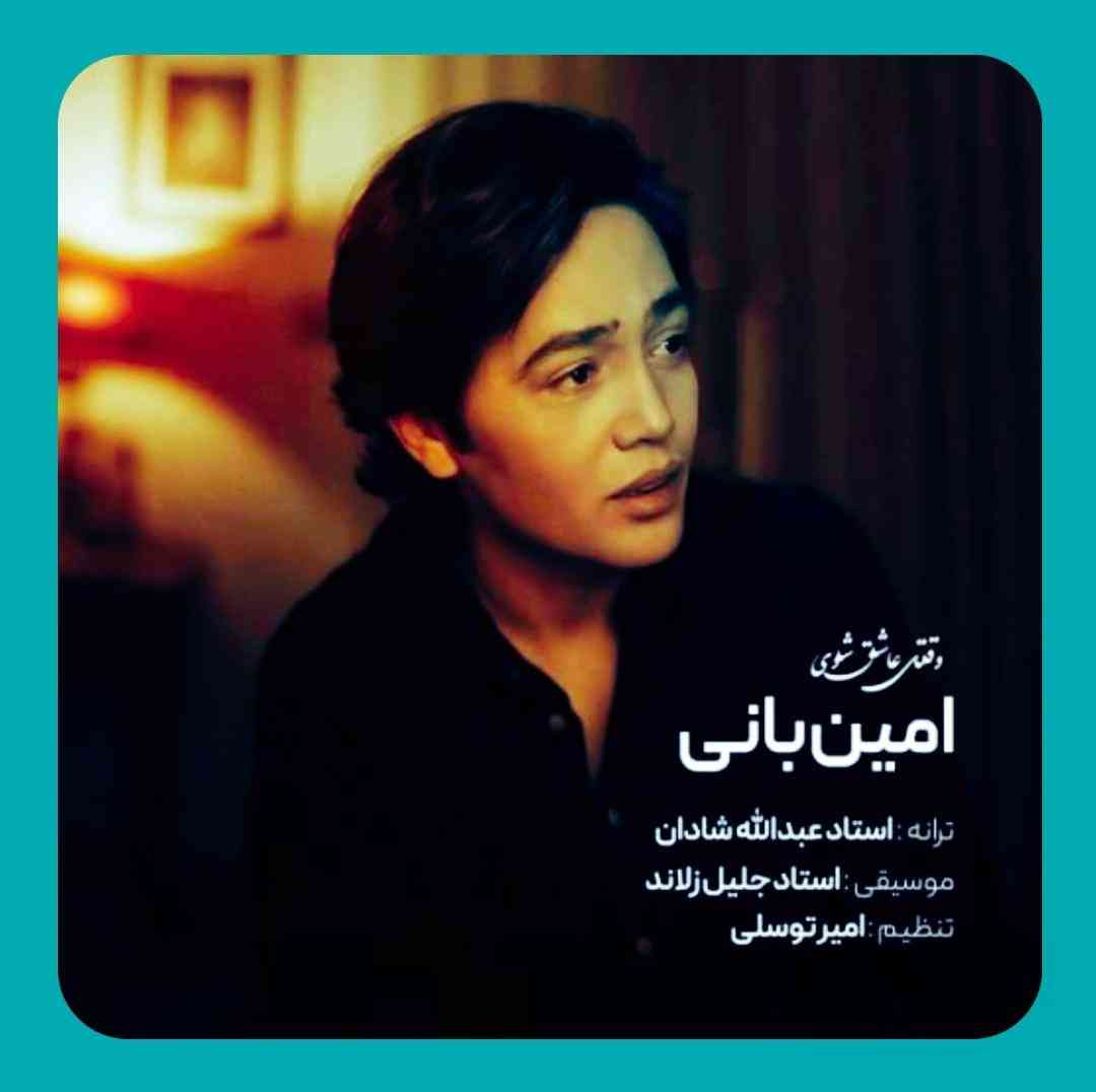 دانلود آهنگ وقتی عاشق شوی از امین بانی