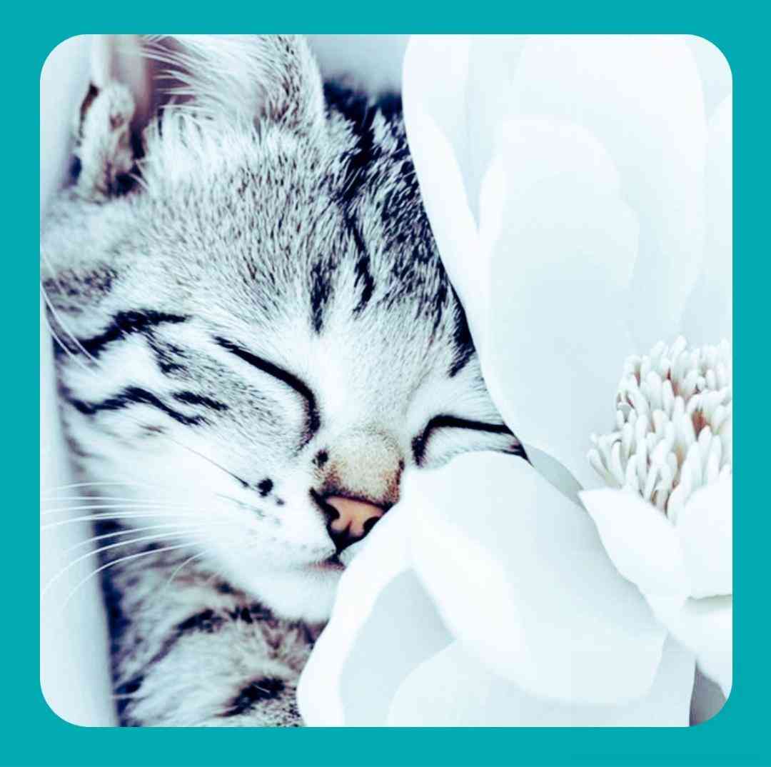 دانلود آهنگ جدید قیدتو زدم رفتم عین تو منم مستم