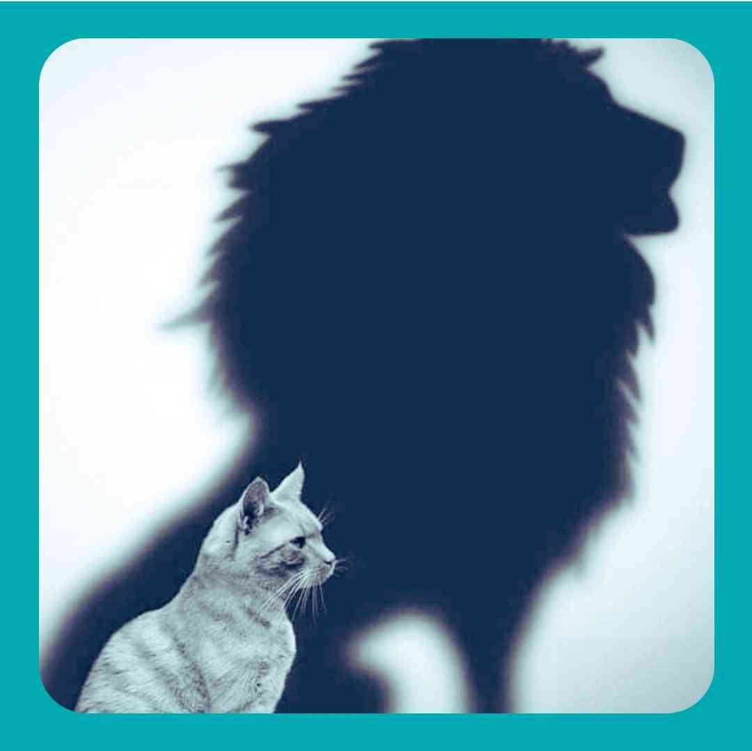 دانلود ریمیکس الان دختر اوضاع بد خیته توی باغچه ی دلم