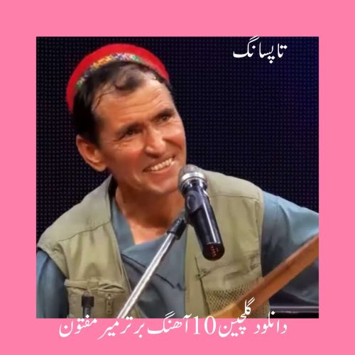 دانلود گلچین 10 آهنگ برتر میر مفتون