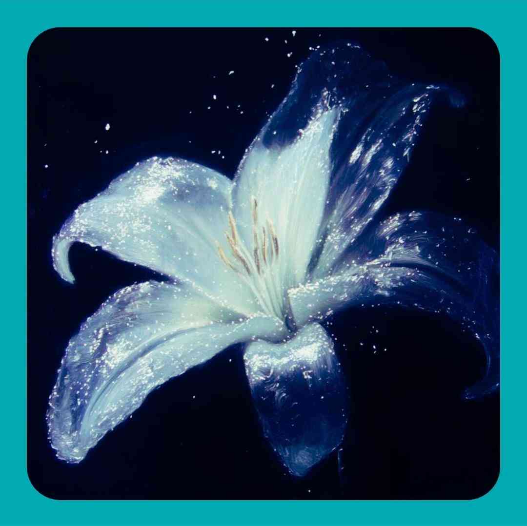 دیگه شدی بام غریبه غریبه جای زخمات رو تنم