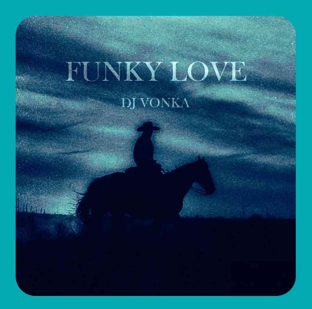 دیجی ونکا فانکی لاو