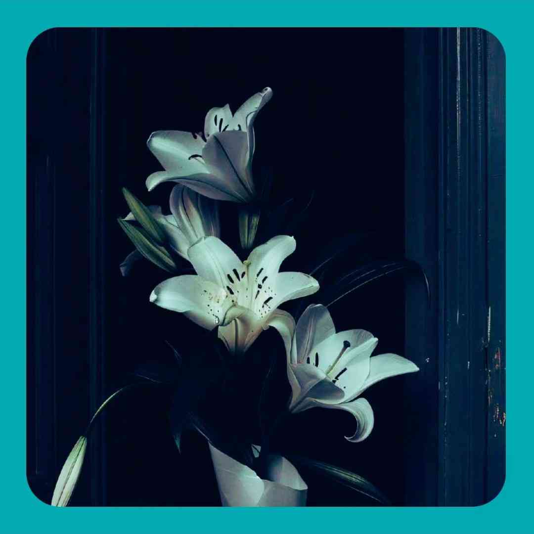 دانلود آهنگ جدید حالمو پیگیرن این بچا ولی نی وایبی من دلتو میخواستم