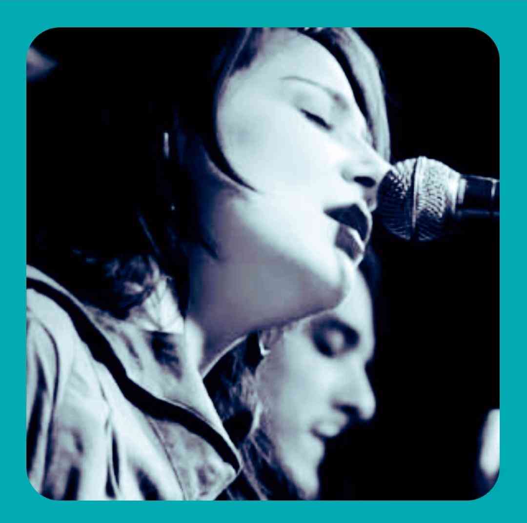 دانلود آهنگ هرکس گیدر می از جم آدریان و ایلین اسلیم