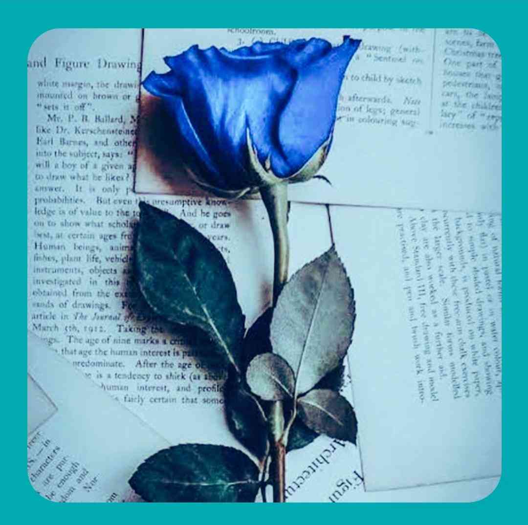 امیر رحیمی و پارسا رز آبی من غم تو غصه هامی